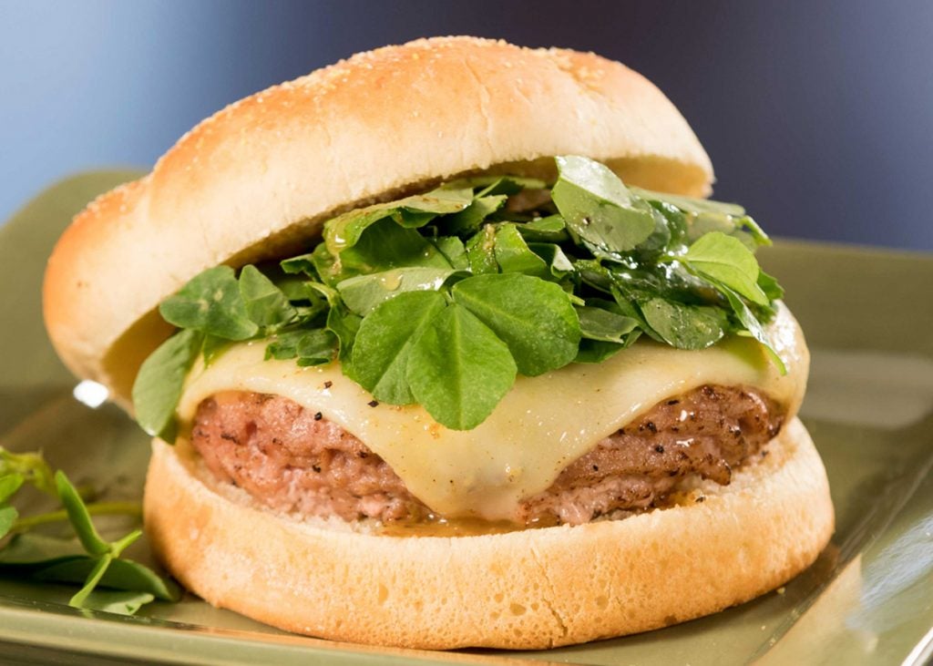 Turkey Burgers Go Food! Gordon Food Service Store