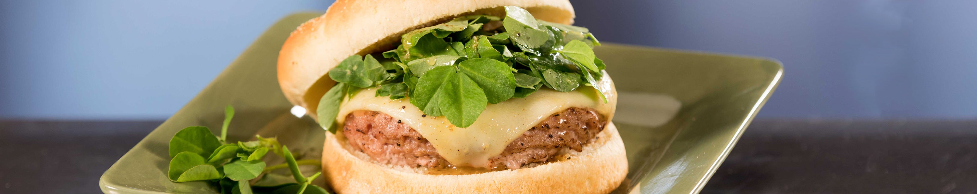 Turkey Burgers Go Food! Gordon Food Service Store