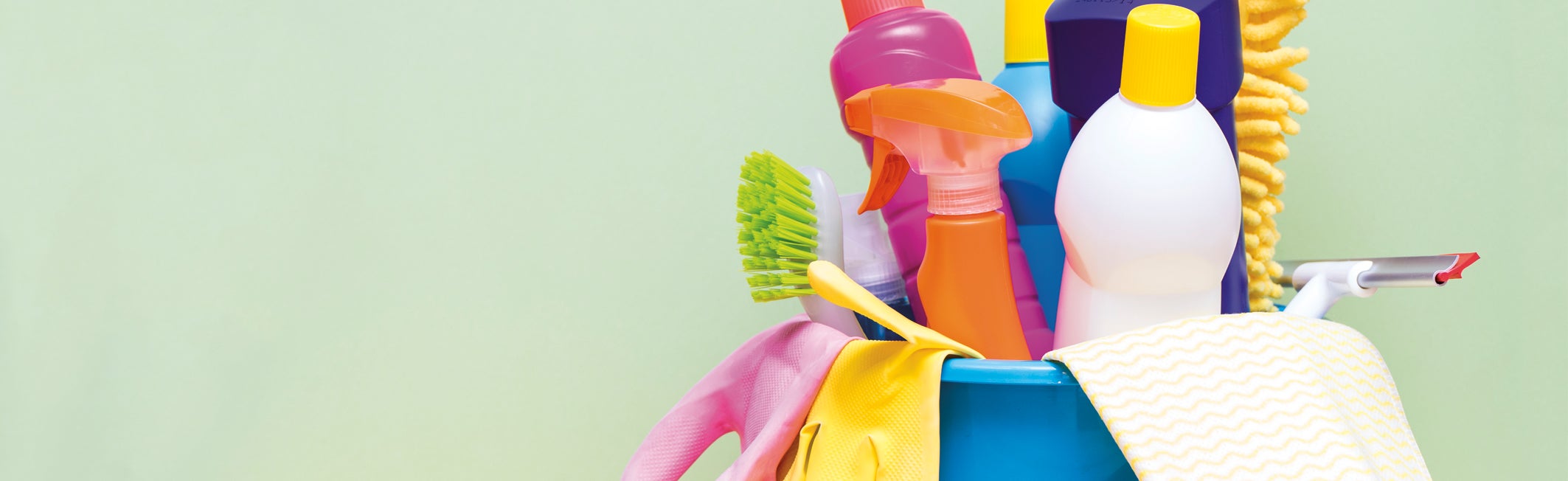 Disinfectants Gordon Food Service Store