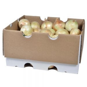 Jumbo Spanish Onions | Packaged