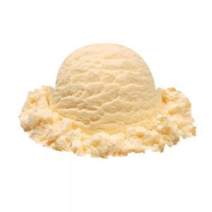 Vanilla Ice Cream | Raw Item