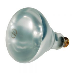 Heat Lamp Bulb | Raw Item