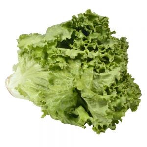 Green  Leaf Lettuce | Raw Item