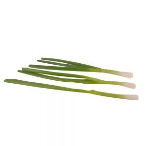 Green Onions | Raw Item