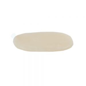 Calamari Steaks | Raw Item