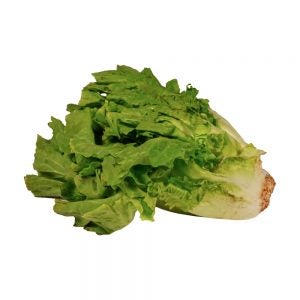 Escarole Lettuce | Raw Item