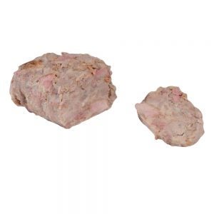 Pulled Pork BBQ | Raw Item