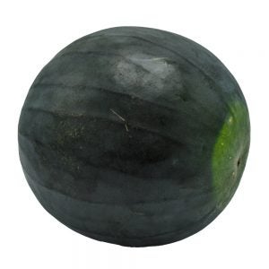 Black Diamond Watermelon | Raw Item