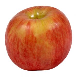 Fuji Apple Tote | Raw Item