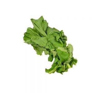 Turnip Greens 8-1# | Raw Item