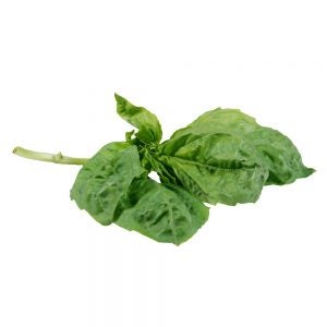 Fresh Basil | Raw Item