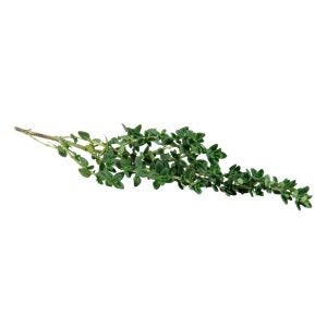 Thyme | Raw Item