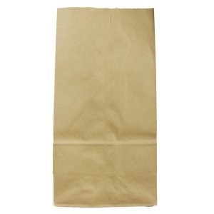 4# Brown Paper Bags | Raw Item
