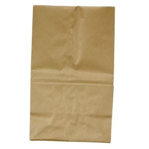 20# Brown Paper Bags | Raw Item