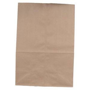 Brown Grocery Bag | Raw Item