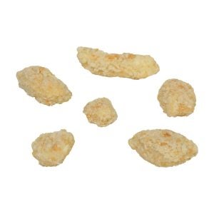 Breaded White Cheddar Cheese Curds | Raw Item