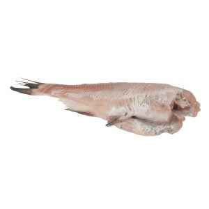 Domestic Catfish | Raw Item