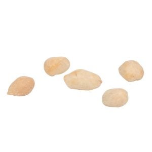 Blanched Peanuts | Raw Item