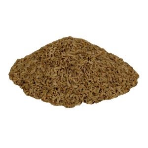 Fennel Seed Spice | Raw Item