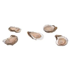 Half Shell Oysters | Raw Item