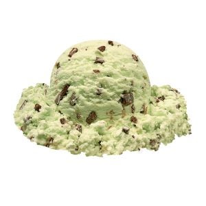 Mint Chocolate Chip Hard Serve Ice Cream | Raw Item