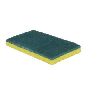 Scrubbing Sponge | Raw Item