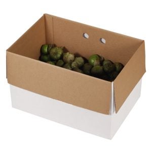 Tomatillos | Packaged