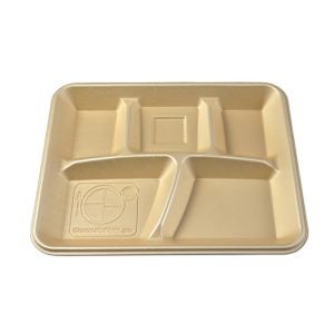 5-Compartment School Lunch Trays | Raw Item