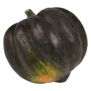 Acorn Squash | Raw Item