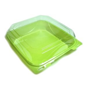 9x9 Inch Plastic Container | Raw Item