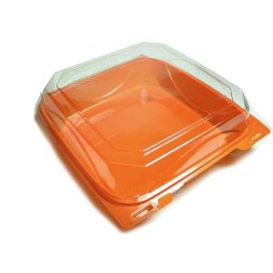9 x 9 Plastic Container | Raw Item