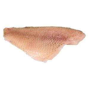 Red Breasted Blue Gill | Raw Item