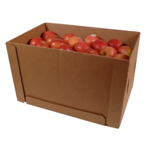 1-100CT FUJI APPLES MARKON | Packaged