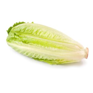 Heart of Romaine | Raw Item