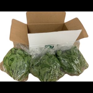 Fresh Basil | Packaged