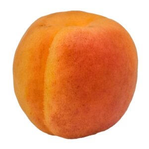 Apricots | Raw Item