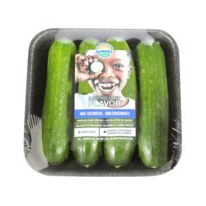 Mini Seedless Cucumbers | Packaged