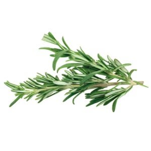 Rosemary | Raw Item