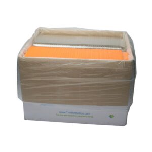 Plastic Tangerine Hinged Container | Packaged