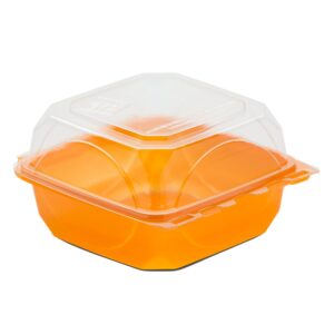 Plastic Tangerine Hinged Container | Raw Item