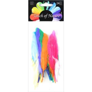 Duck Quill Feathers 24/Pkg-Bright Mix | Packaged