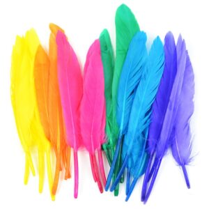 Duck Quill Feathers 24/Pkg-Bright Mix | Raw Item