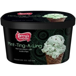 Mint-Ting-A-Ling Ice Cream | Packaged