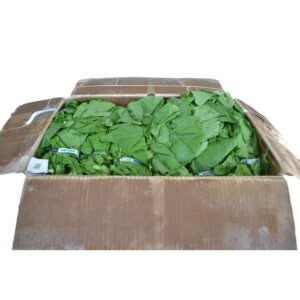 Turnip Greens | Packaged