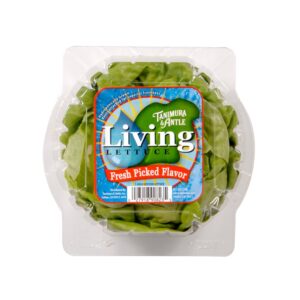 Butter Bibb Lettuce | Packaged