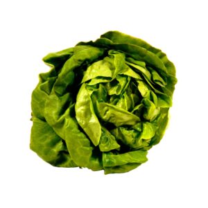 Butter Bibb Lettuce | Raw Item