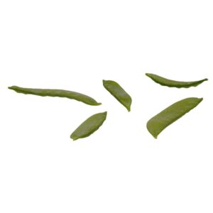 Snow Peas | Raw Item