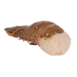 1-10# CARIBBEAN LOBSTER TAILS 10-12Z | Raw Item