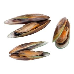 New Zealand Green Mussels | Raw Item