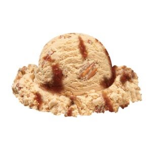 1-3GAL ICE CREAM PRALINE PECAN | Raw Item